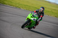 PJ-Motorsport-2019;anglesey-no-limits-trackday;anglesey-photographs;anglesey-trackday-photographs;enduro-digital-images;event-digital-images;eventdigitalimages;no-limits-trackdays;peter-wileman-photography;racing-digital-images;trac-mon;trackday-digital-images;trackday-photos;ty-croes